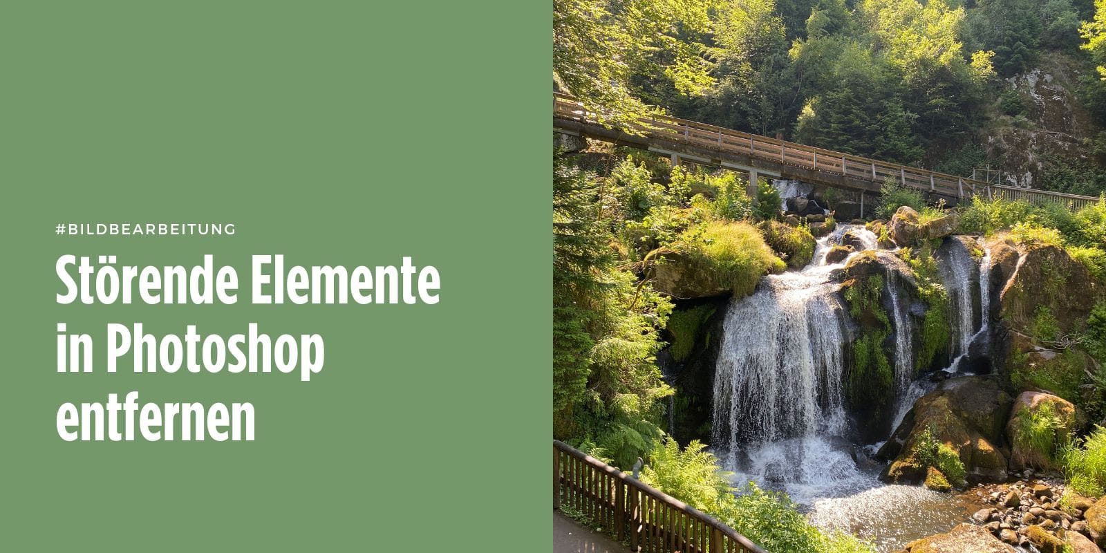 Störende Elemente in Photoshop entfernen Beitragsbild.