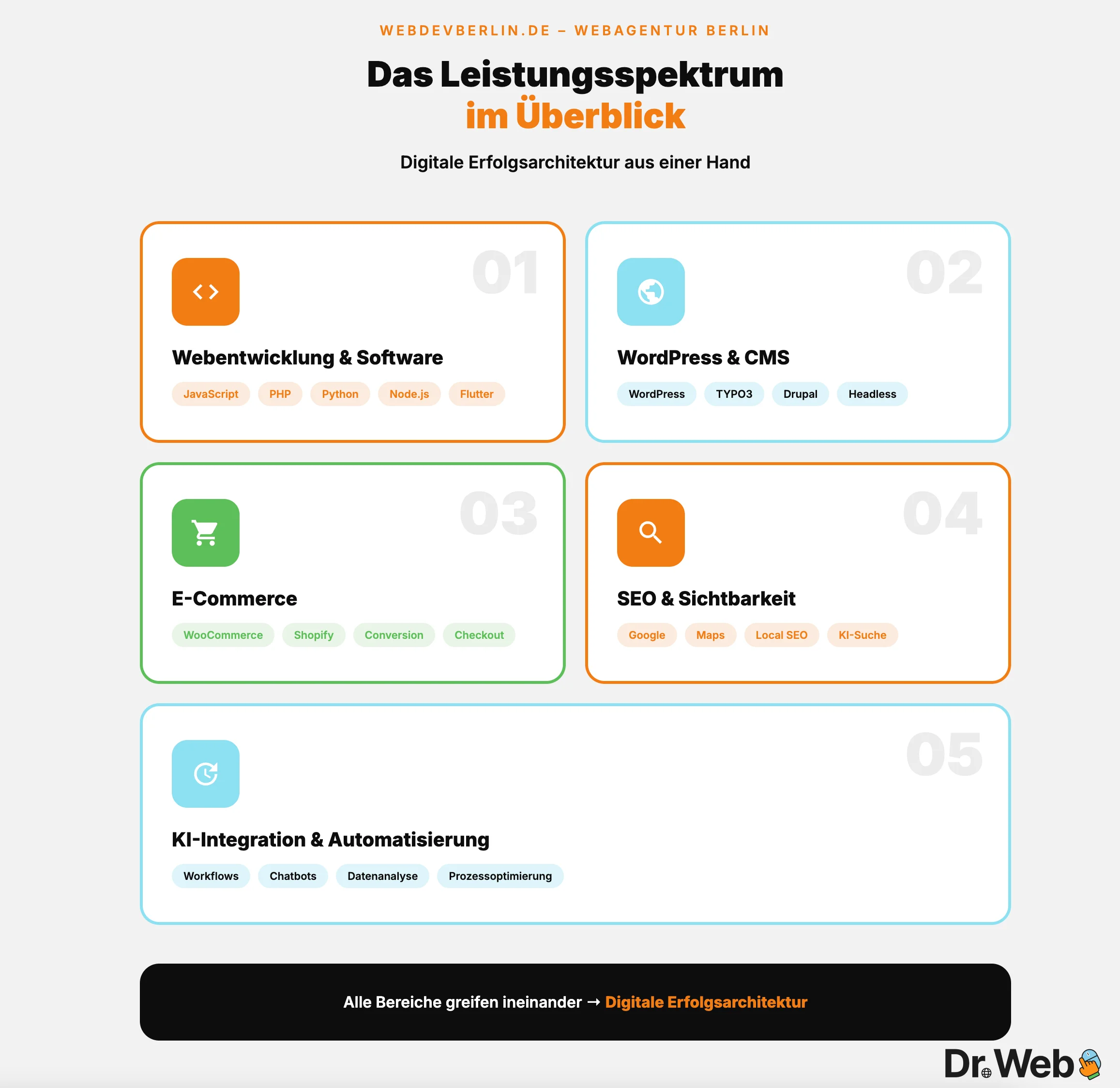 webdevberlin Infografik Leistungen