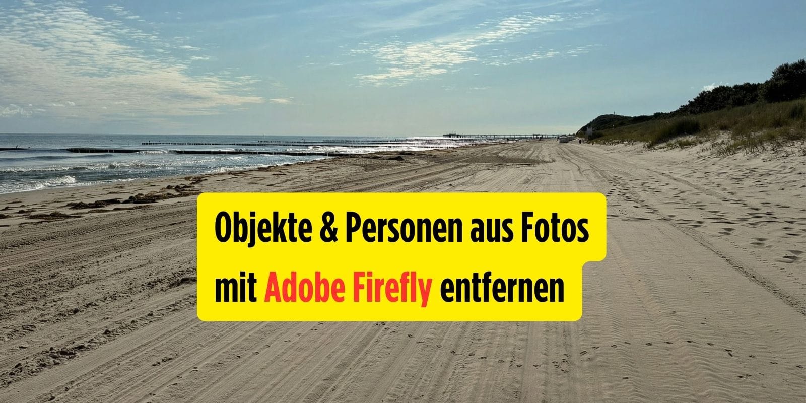 Objekte und Personen aus Fotos mit Adobe Firefly entfernen.