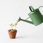 Boomt Longevity-Biotech? Das erste Quartal 2026 sagt: kräftig.