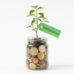 Ecosia: Die Suchmaschine, die sich selbst gehört