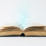 Kaufen US-Firmen Antiquariate leer? Ja, fürs KI-Training