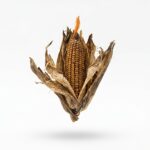 Klimawandel: Diese Branchen zahlen drauf