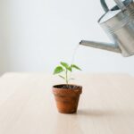 NLnet fördert 67 Open-Source-Projekte für ein freies Internet