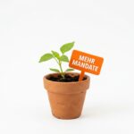 Welche CRM- und E-Mail-Tools eignen sich am besten für Coaches und Berater?