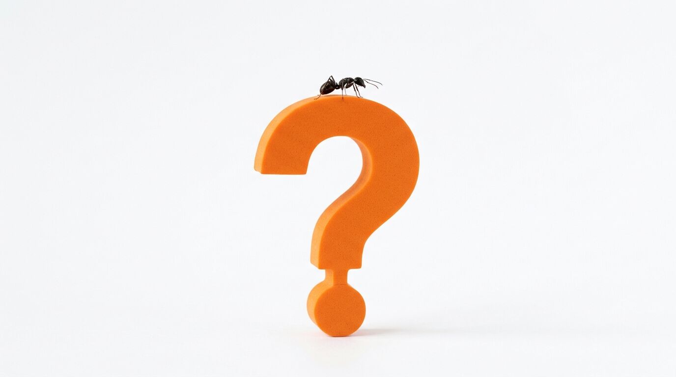 Eine Ameise krabbelt auf einem orangefarbenen Fragezeichen vor weißem Hintergrund