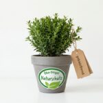 Greenwashing im Gartenhandel: Gericht untersagt Hornbach die Naturschutz-Werbung