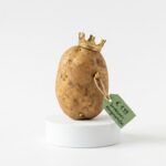 Kartoffel: Die Knolle, die Europa ernährt