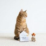 Katzen 🐈‍⬛ gegen Bundesrepublik: 15,7 Millionen ohne Steuer, ohne Register