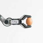Cobot: Freund und Helfer? Praxisbeispiele