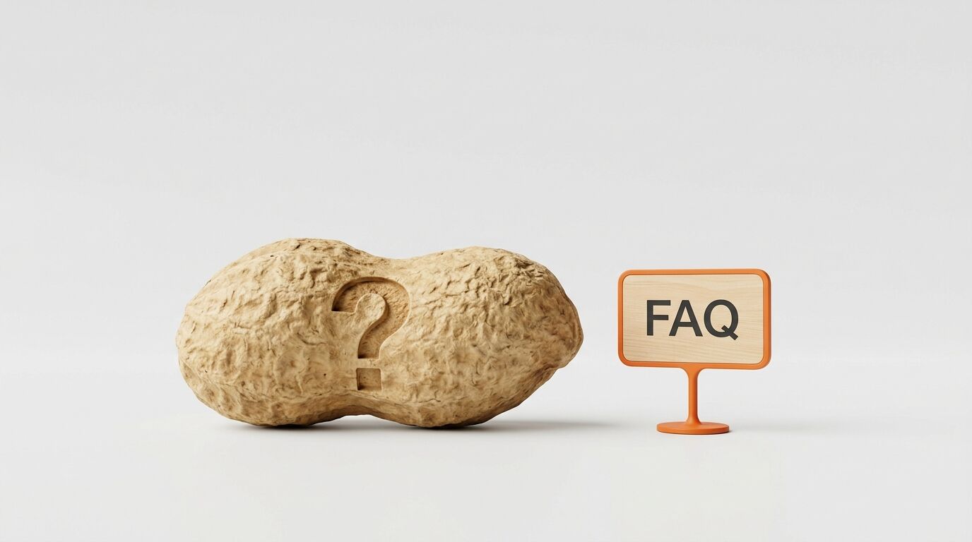 Erdnuss mit Fragezeichen und ein FAQ-Schild daneben