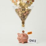 Stripe: Wie verdient der Zahlungsriese sein Geld?