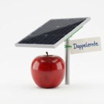 Strom von der Apfelplantage: dm setzt auf Agri-Photovoltaik