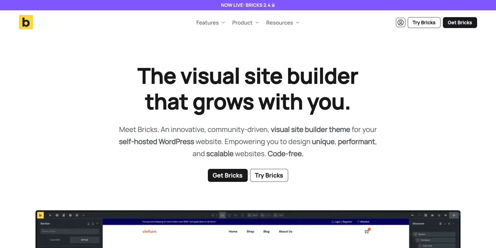 Bricks Screenshot