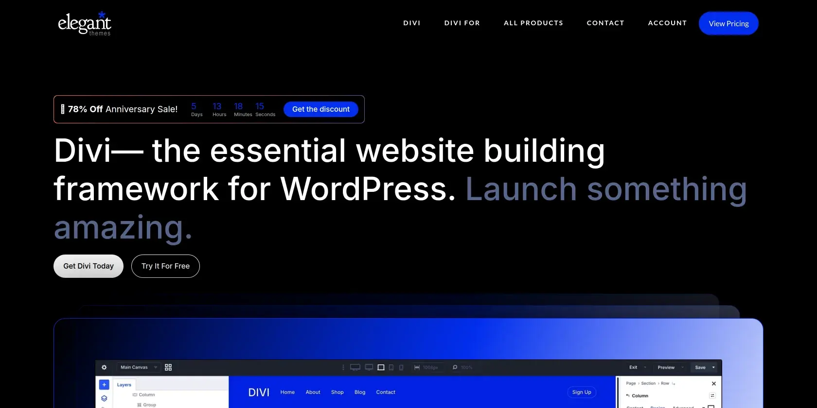 Divi (Elegant Themes) Screenshot