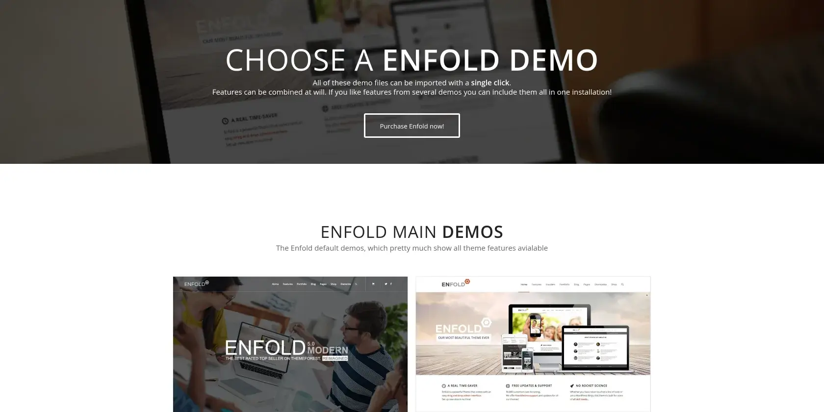 Enfold (Kriesi) Screenshot