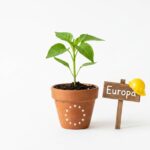 Allianz beteiligt sich am Scaleup Europe Fund: fünf Milliarden gegen die Kapitallücke