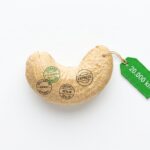 Cashew: Die Nuss mit der langen Lieferkette
