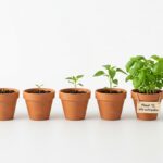 Content Marketing Agentur Vergleich 2026. Das sind die besten 84 Anbieter.