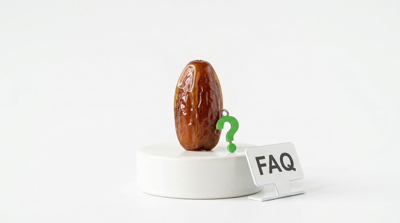 Eine Dattel, ein grünes Fragezeichen und ein FAQ-Schild auf einem Podest vor weißem Hintergrund