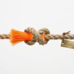 Digital Networks Act: Telekom fordert weniger Regeln, die Konkurrenz mehr