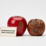 Enshittification-resistente Software: Was ein neues Gütesiegel wirklich prüft