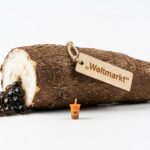 Maniok: die Knolle, die eine Milliarde ernährt