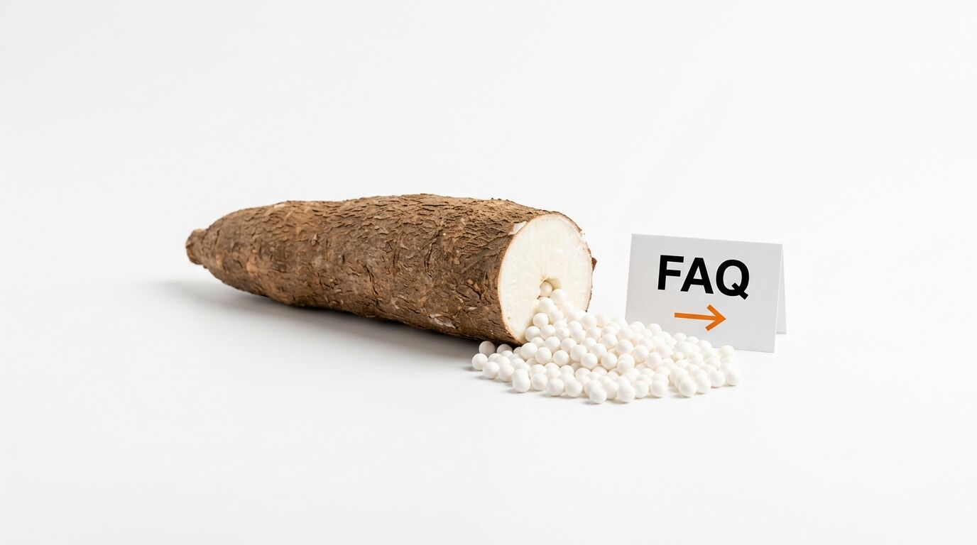 Ein angeschnittener Maniok mit Tapioka-Kugeln und FAQ-Schild auf weißem Hintergrund