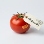 Tomate: Vom Gartengemüse zum Weltmarkt