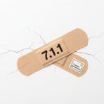 WordPress 7.1.1 schließt elf Sicherheitslücken, zwei davon fand Anthropic