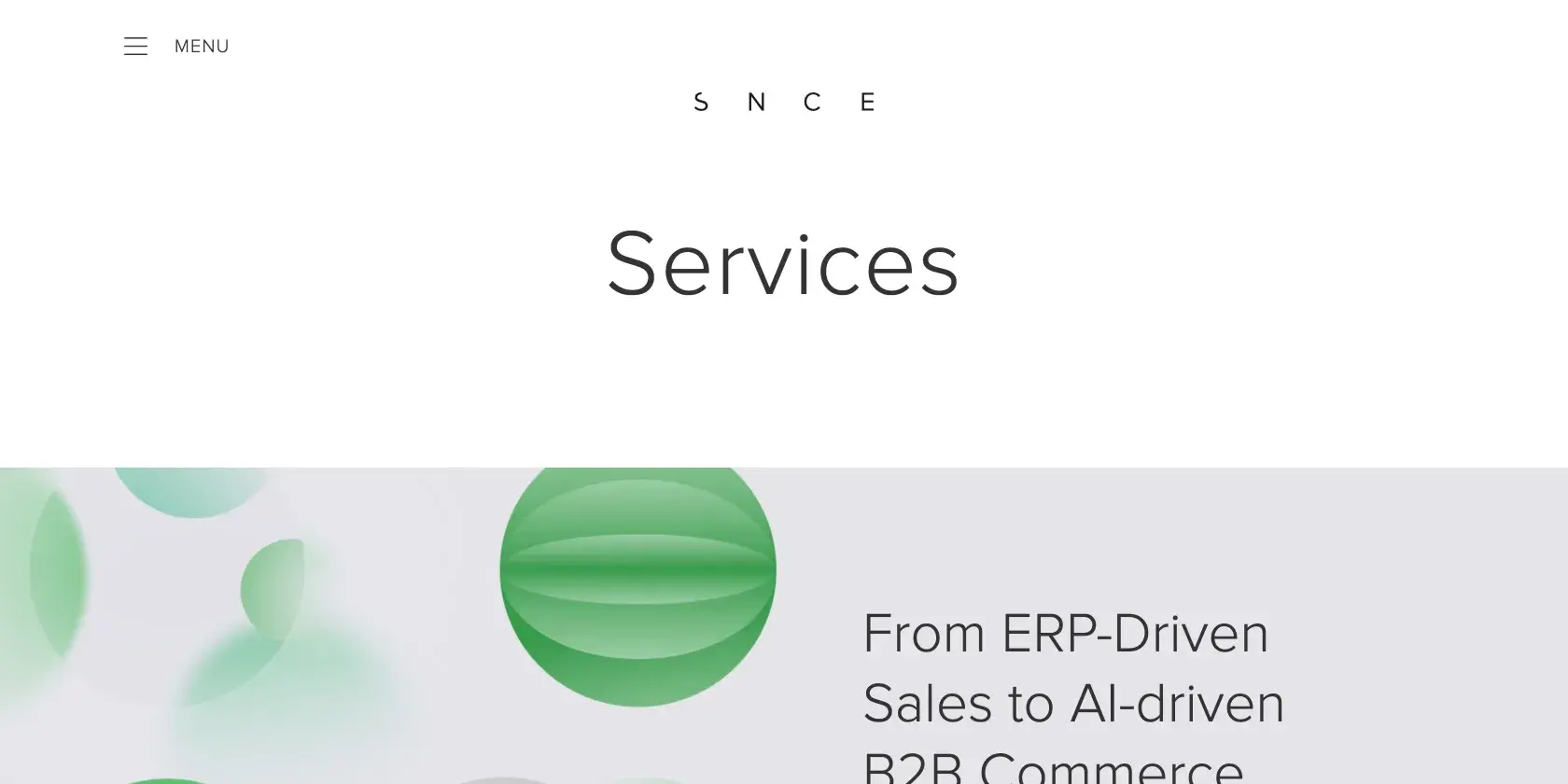 S'NCE Group Screenshot