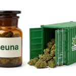 Aurora Cannabis verdoppelt in Leuna die Kapazität für Medizinalcannabis