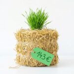 Die Wiesen sind wieder grün, doch Heu kostet so viel wie seit 2019 nicht mehr