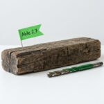 Fachkraft für Holz- und Bautenschutzarbeiten: Gegen Pilz und Feuchte hilft kein Prompt