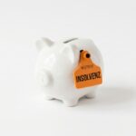 Ferkelerzeuger LFD Holding ist insolvent, die Schweinezucht in Gladau läuft weiter