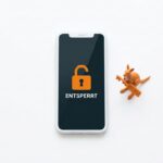 Fortnite kehrt in Australiens App Store zurück, Apple muss iOS für fremde Stores öffnen