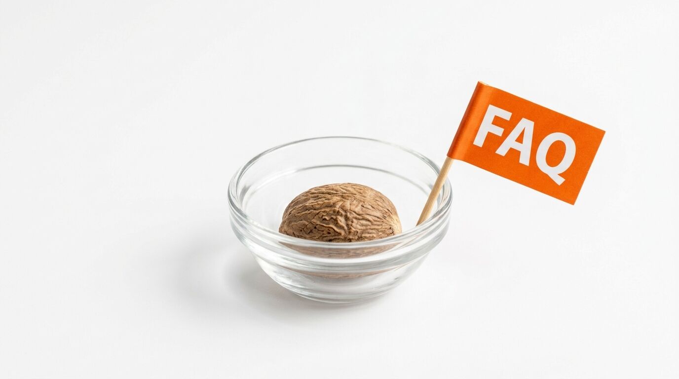 Eine Muskatnuss in einer Glasschale mit einer orangefarbenen „FAQ“-Fahne daneben auf weißem Grund