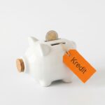 Staatsfinanzierung: Woher nimmt ein Staat sein Geld?