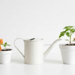 Vinod Khosla greift Factory öffentlich an, obwohl sein Fonds an beiden Rivalen beteiligt ist