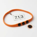 WordPress 7.1.3: das dritte Sicherheitsupdate in 19 Tagen